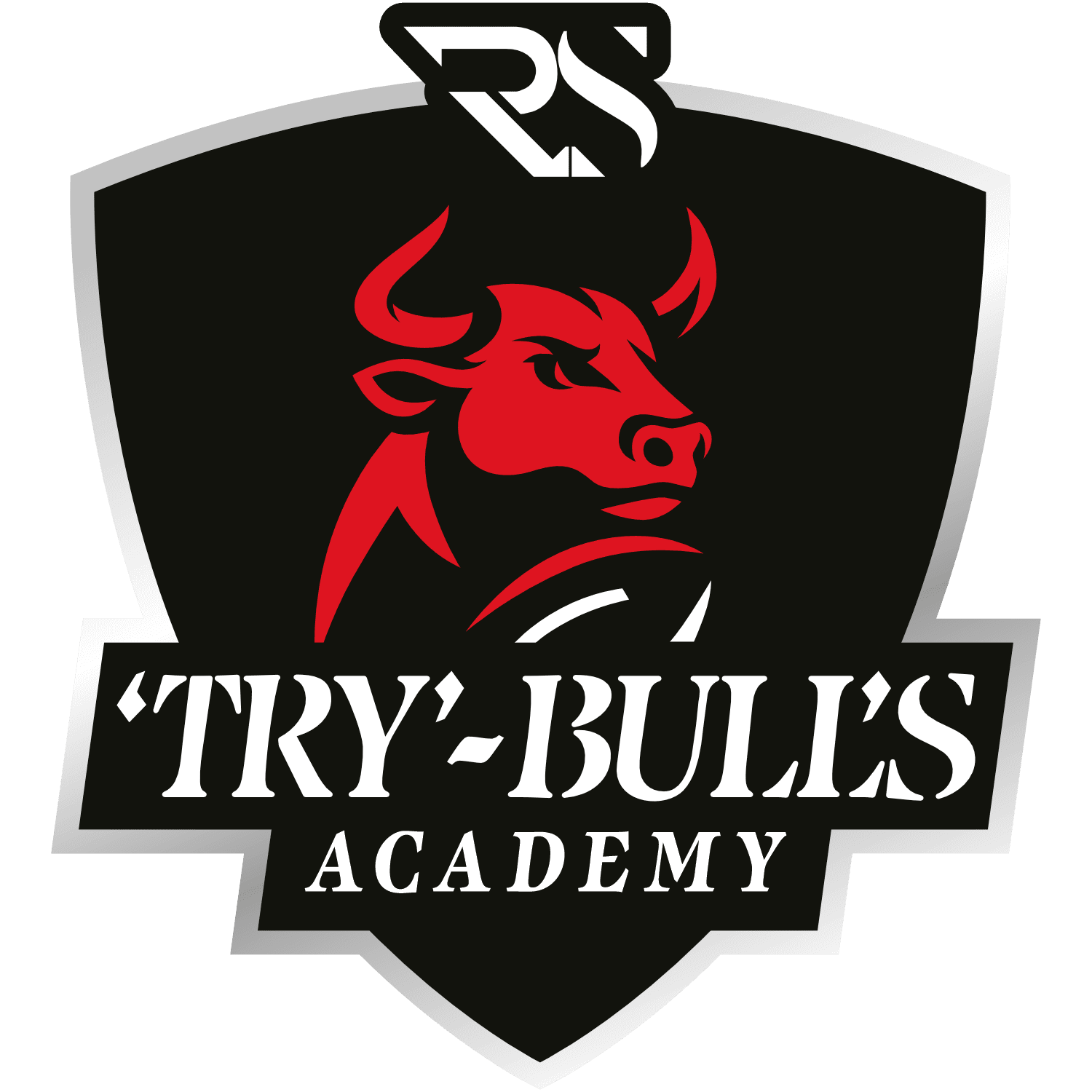 Logo der TRY-BULLS Academy