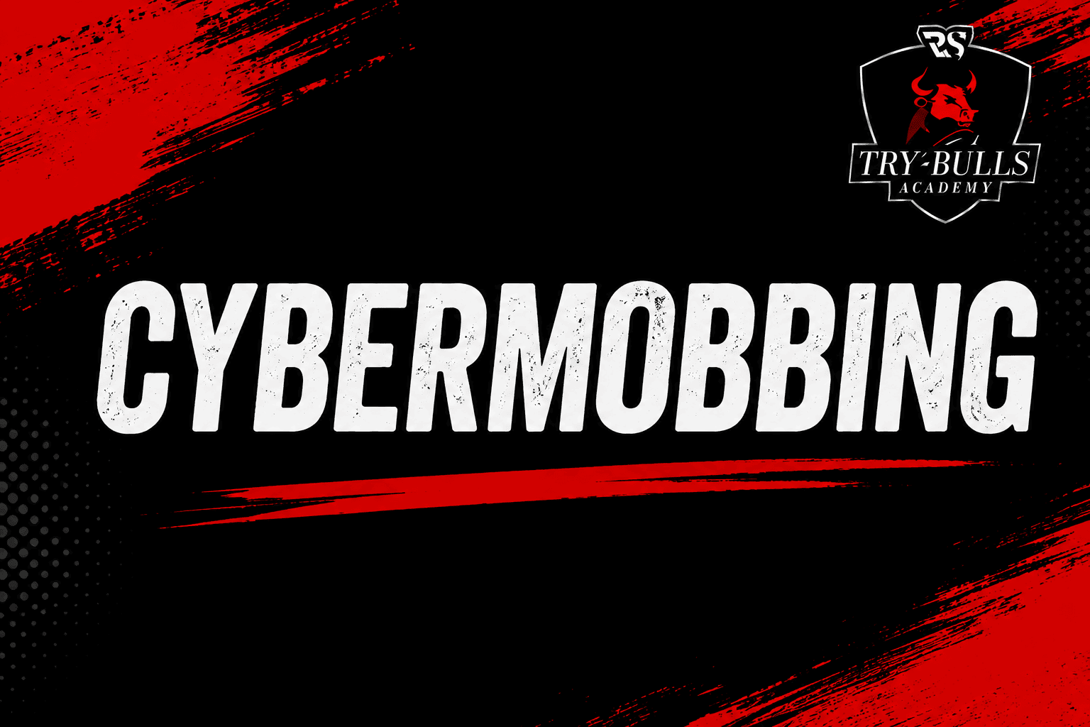 Cybermobbing-Prävention für Schulen mit der TRY-BULLS Academy